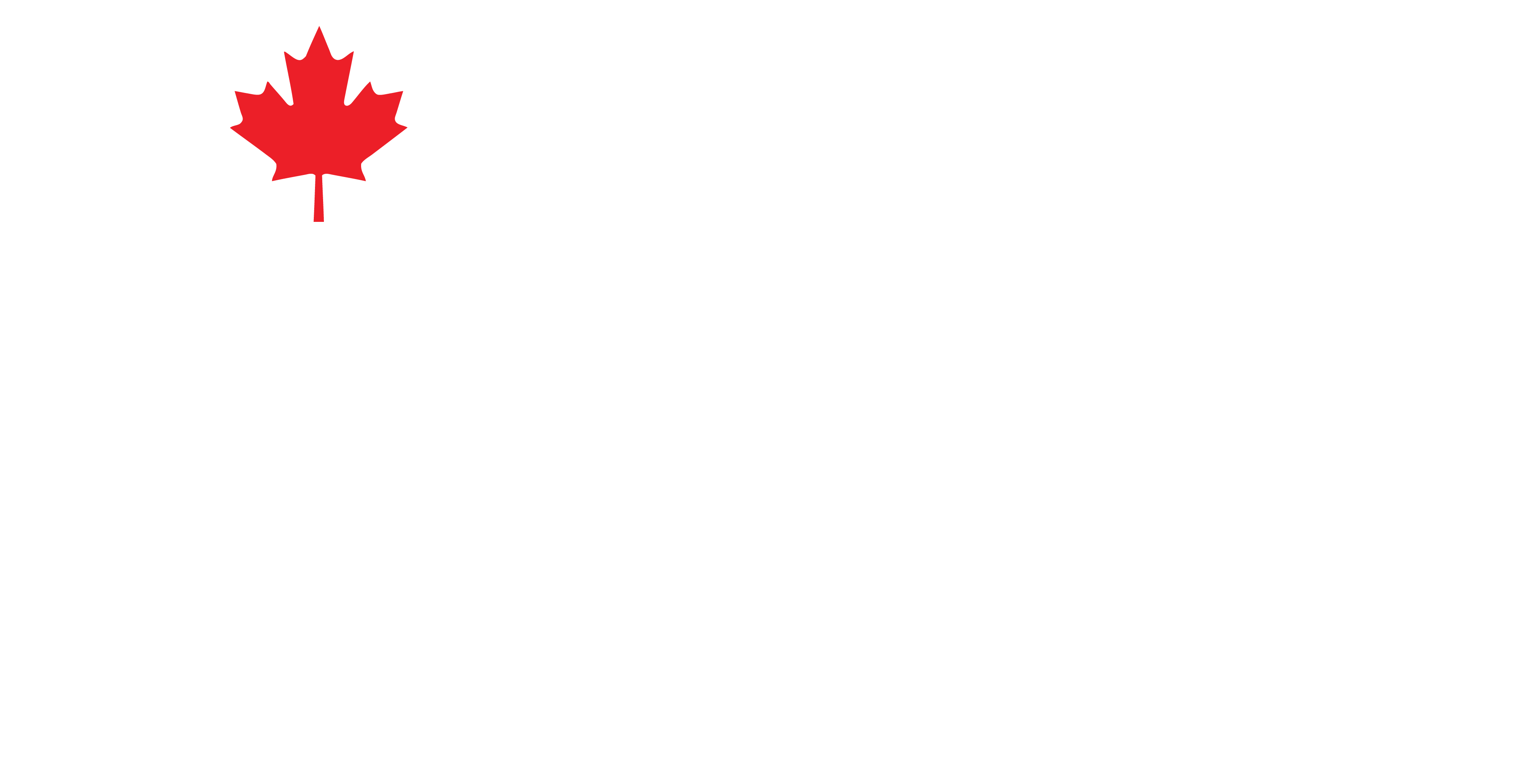 Northern RNA