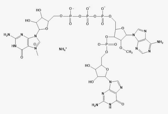 Image of Cap Analog structure